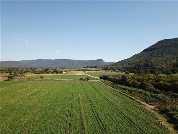 80 ha Farm