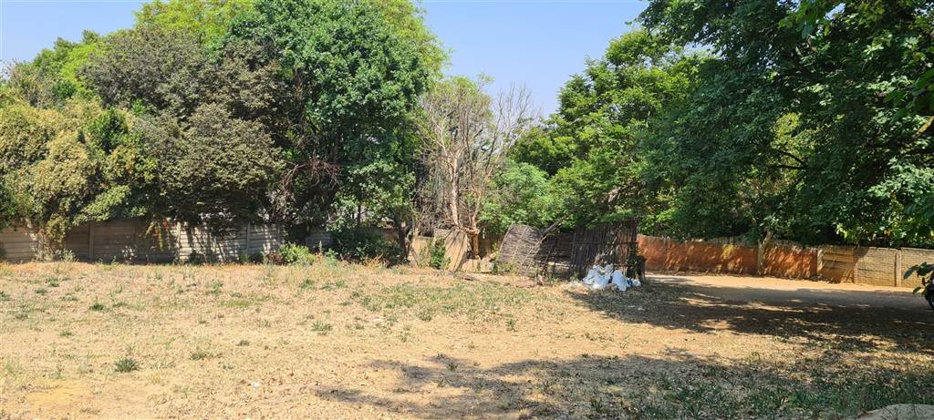 341 m² Land available in Ferndale photo number 8