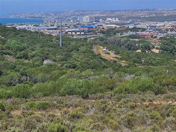730 m² Land available in Seemeeu Park