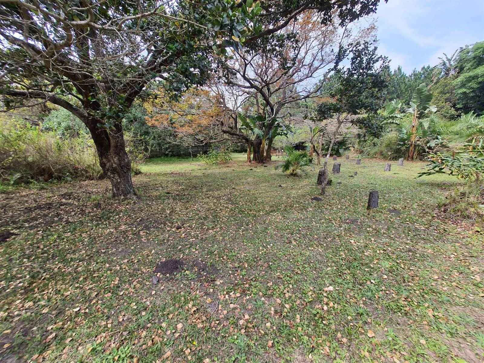 1.7 ha Land available in Port Edward photo number 10