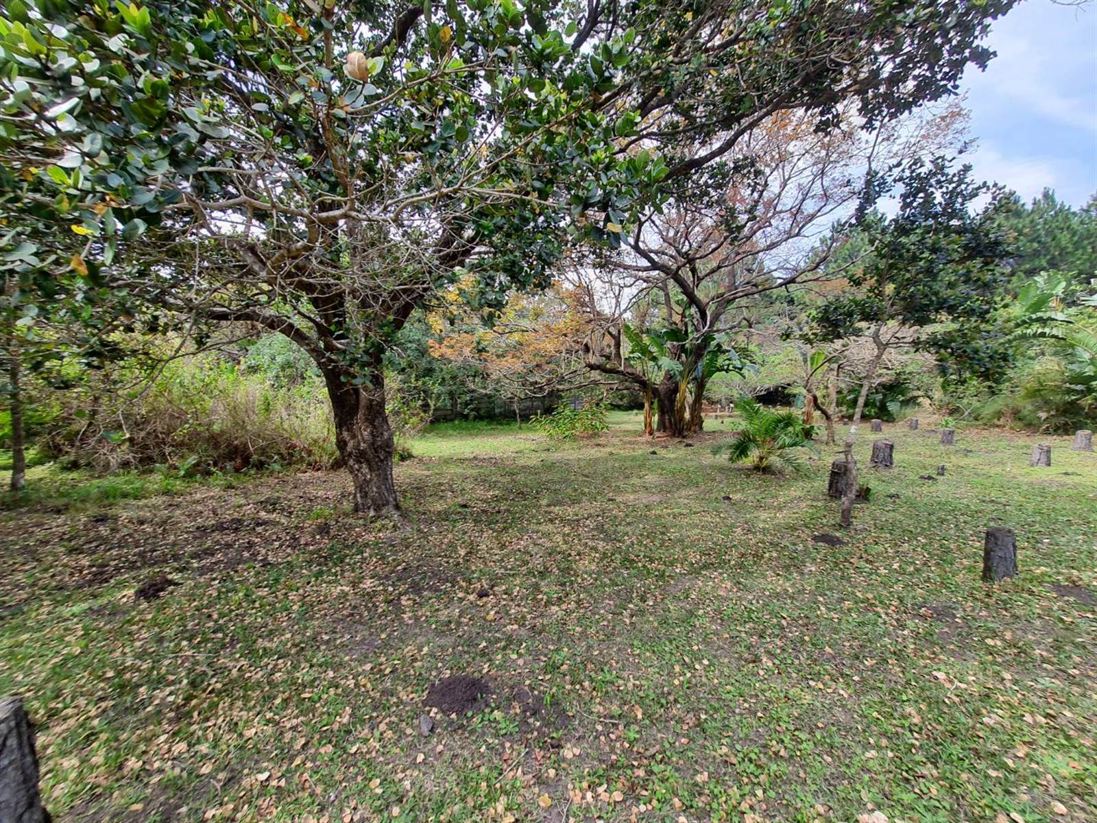 1.7 ha Land available in Port Edward photo number 11