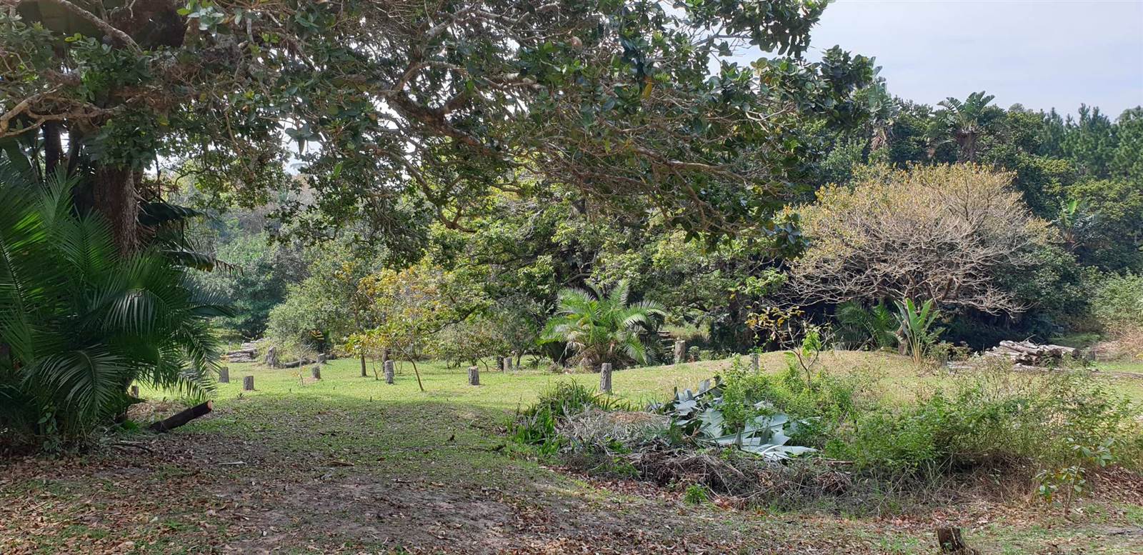 1.7 ha Land available in Port Edward photo number 17