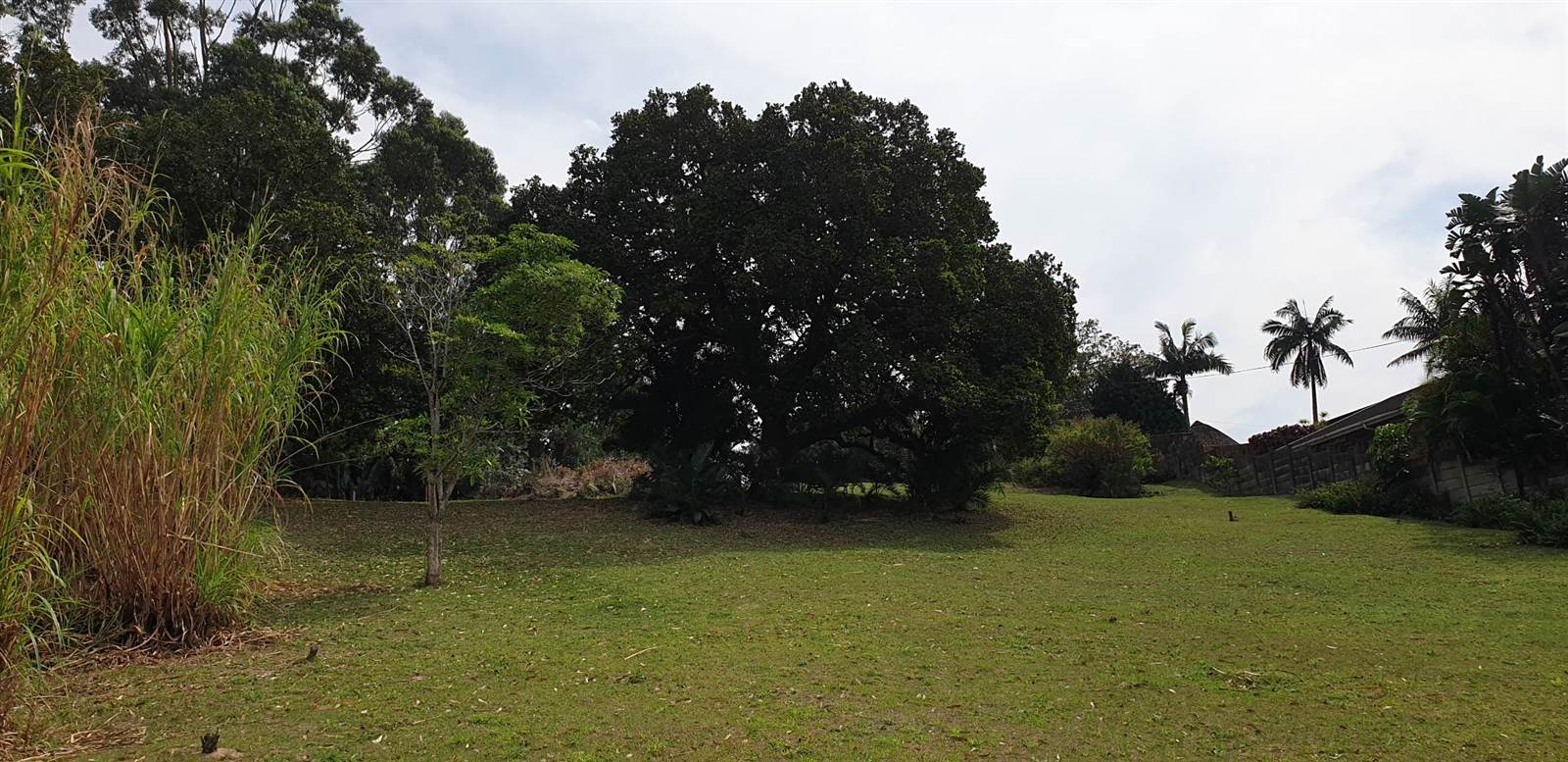 1.7 ha Land available in Port Edward photo number 21