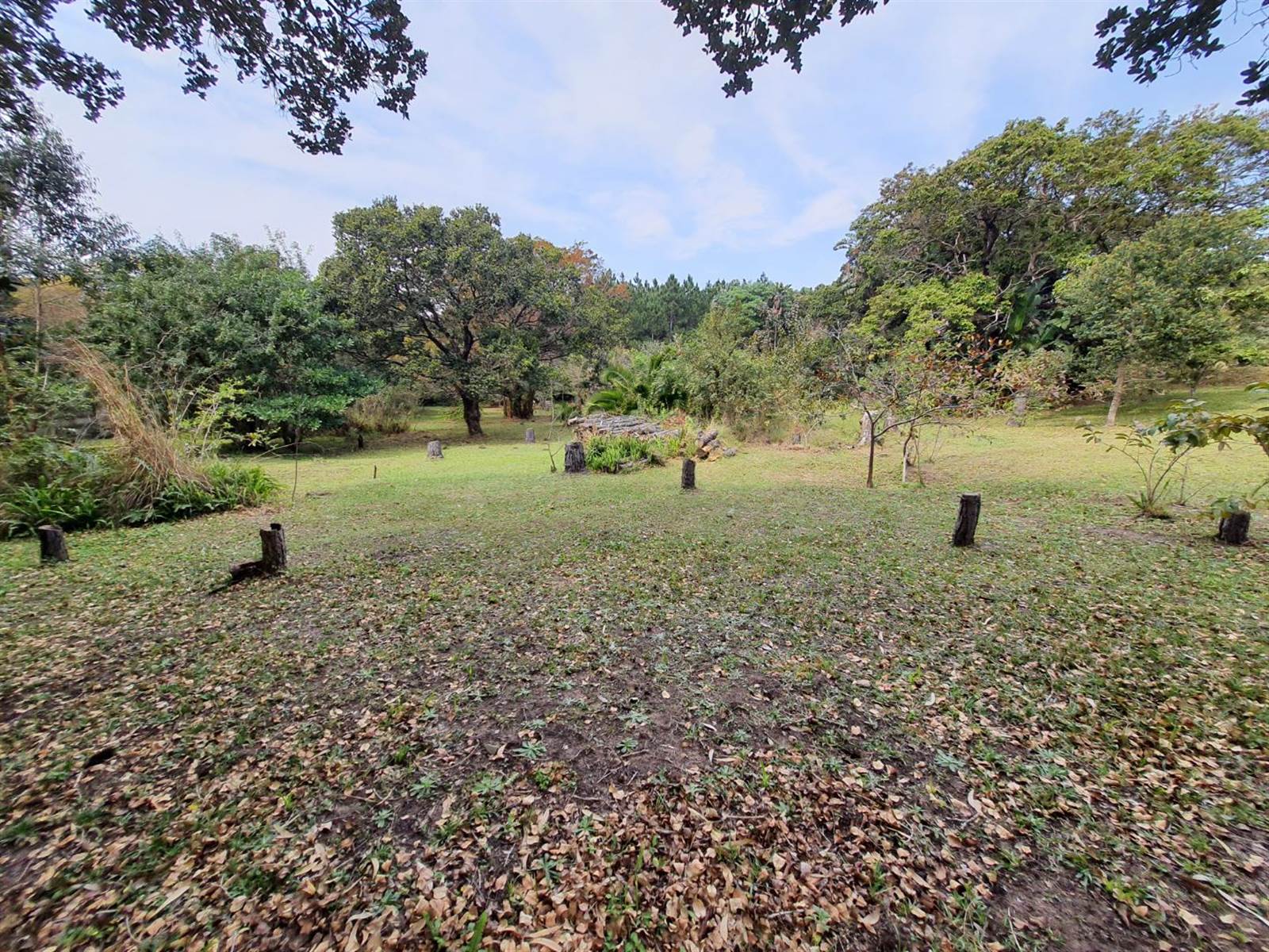 1.7 ha Land available in Port Edward photo number 9