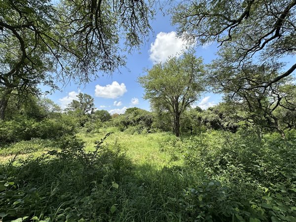 1 ha Land available in Hoedspruit
