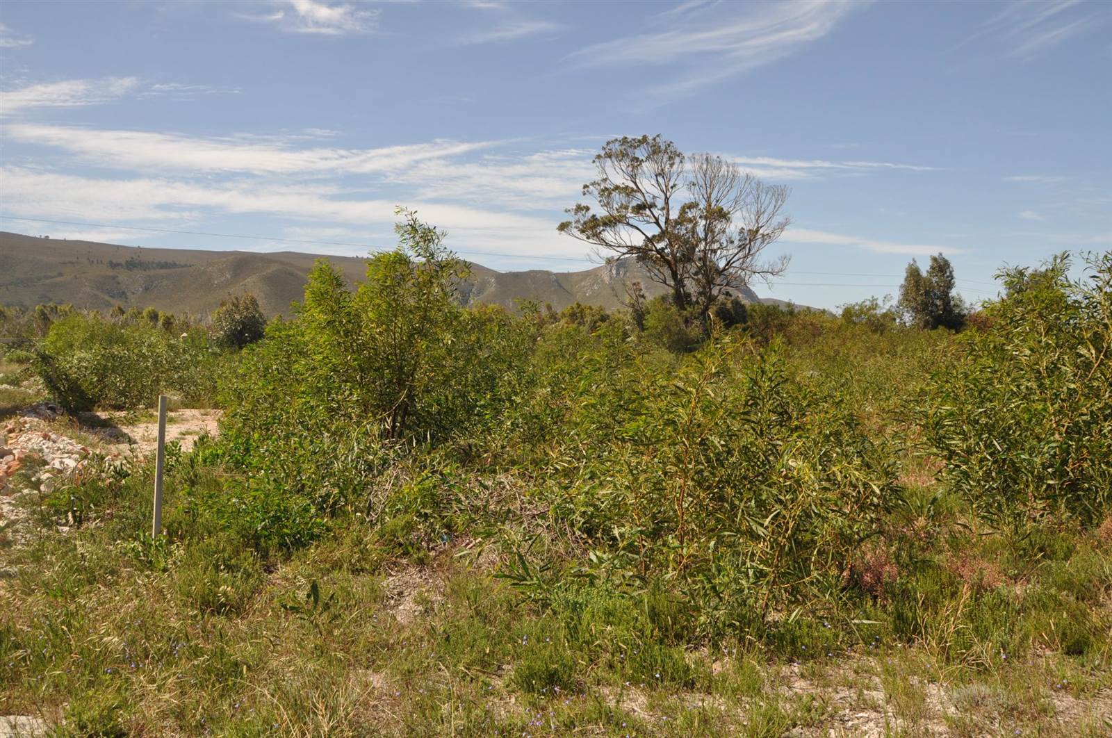984 m² Land available in Franskraal photo number 8