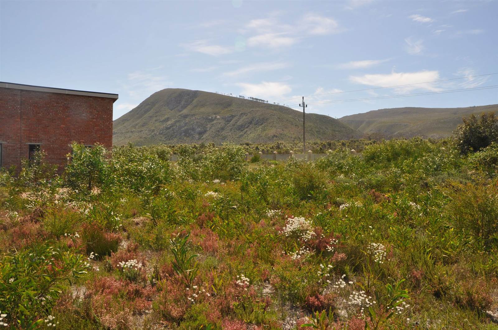 984 m² Land available in Franskraal photo number 7
