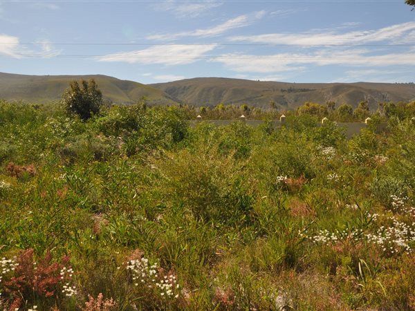 984 m² Land available in Franskraal