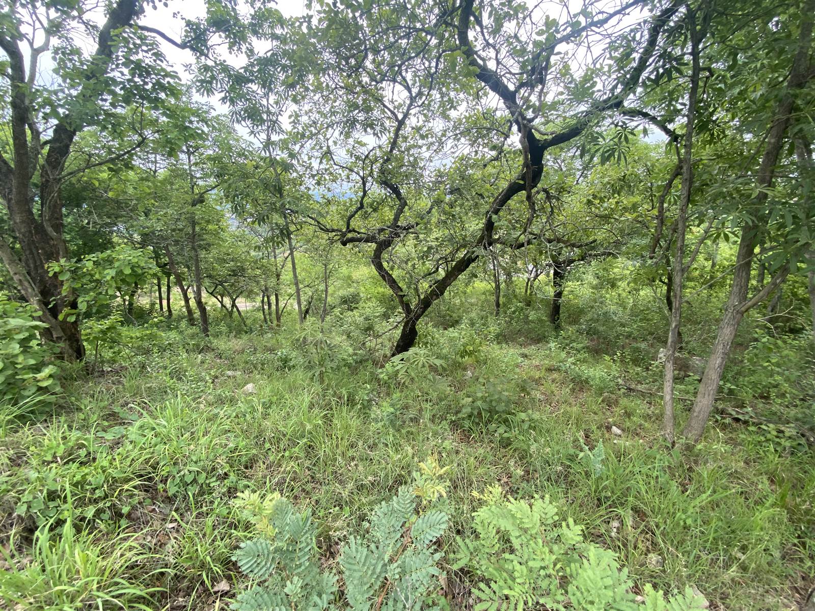 2020 m² Land available in Drum Rock photo number 8