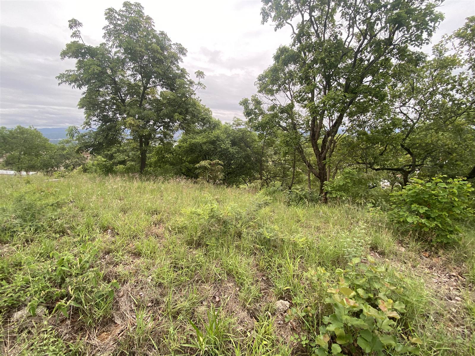 2020 m² Land available in Drum Rock photo number 5