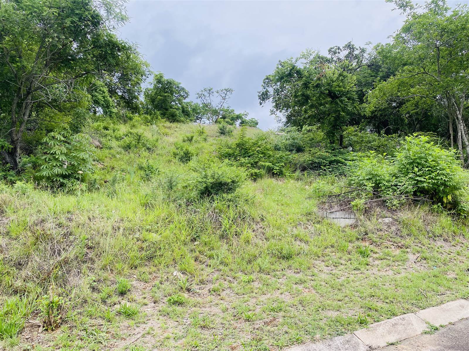 2020 m² Land available in Drum Rock photo number 3