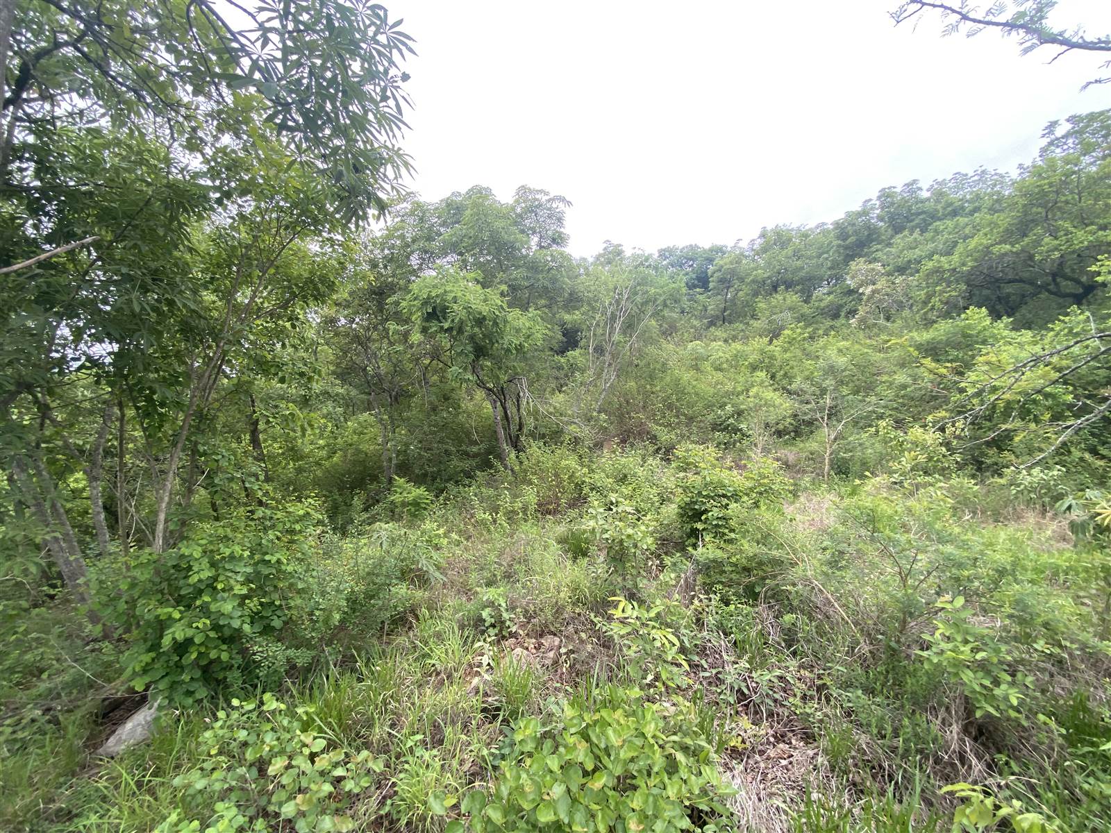 2020 m² Land available in Drum Rock photo number 6