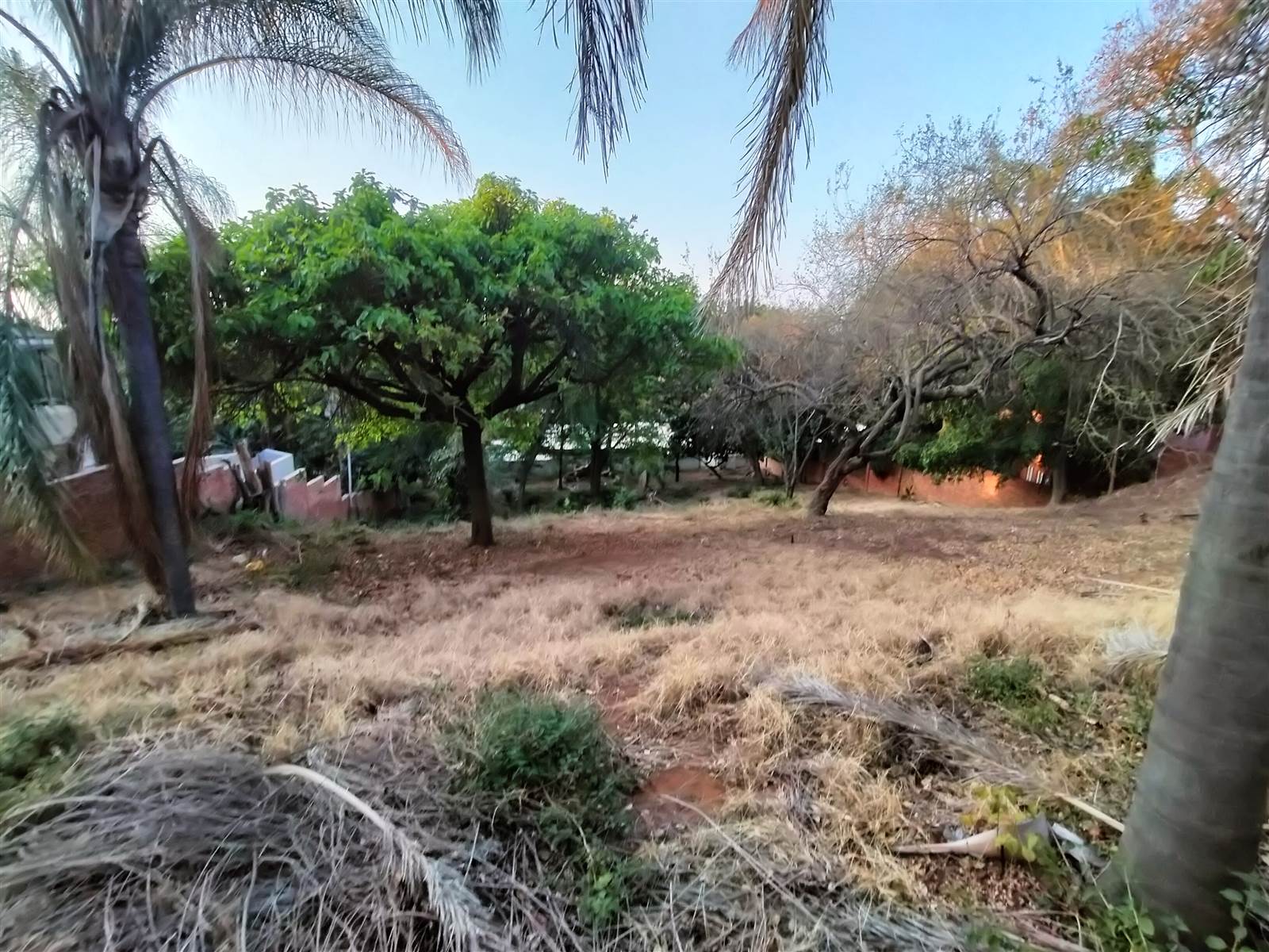 1817 m² Land available in Florauna photo number 1