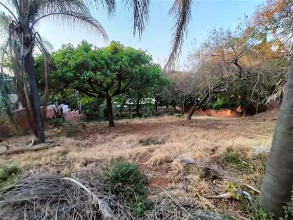 1817 m² Land available in Florauna