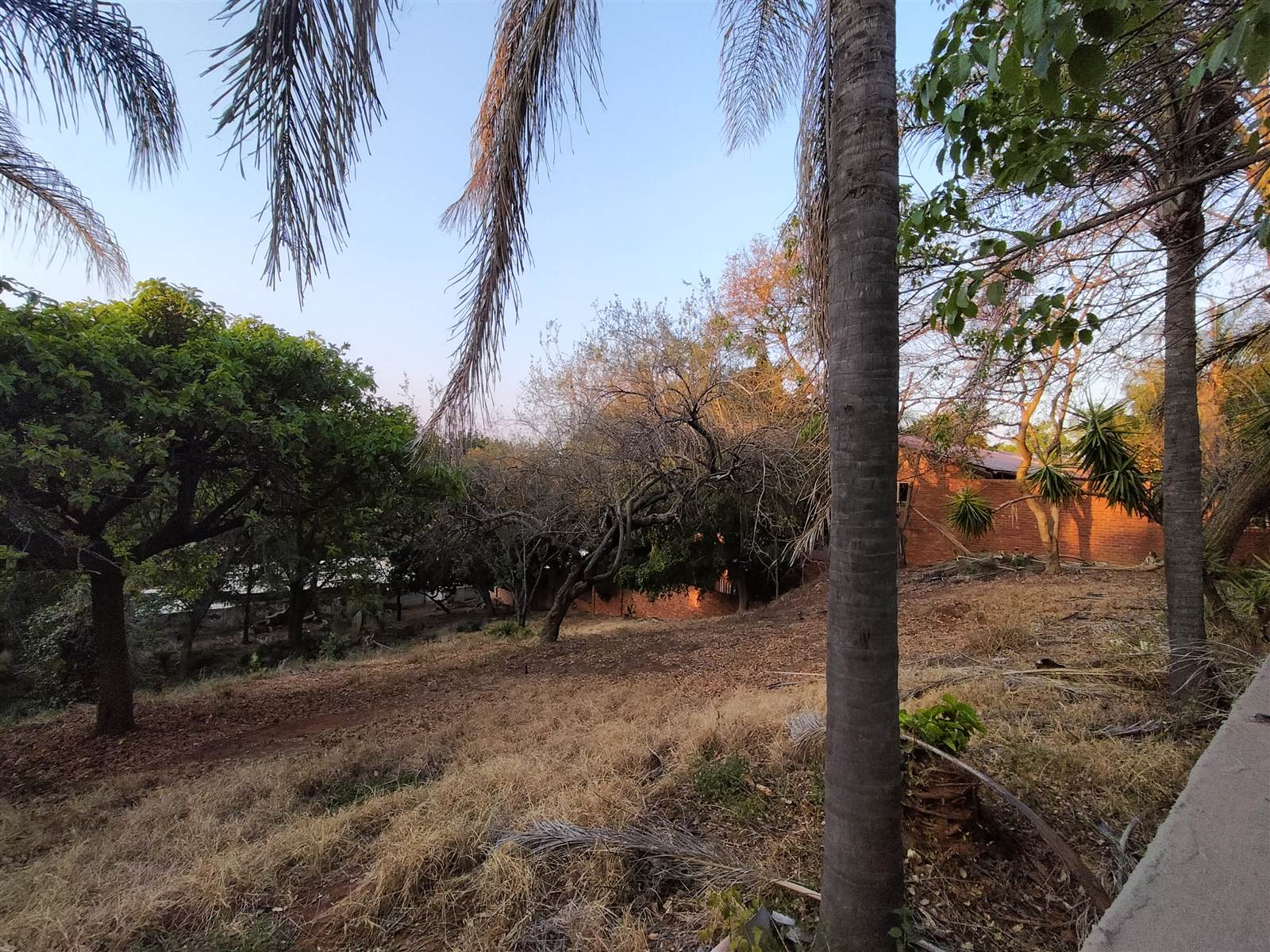 1817 m² Land available in Florauna photo number 6
