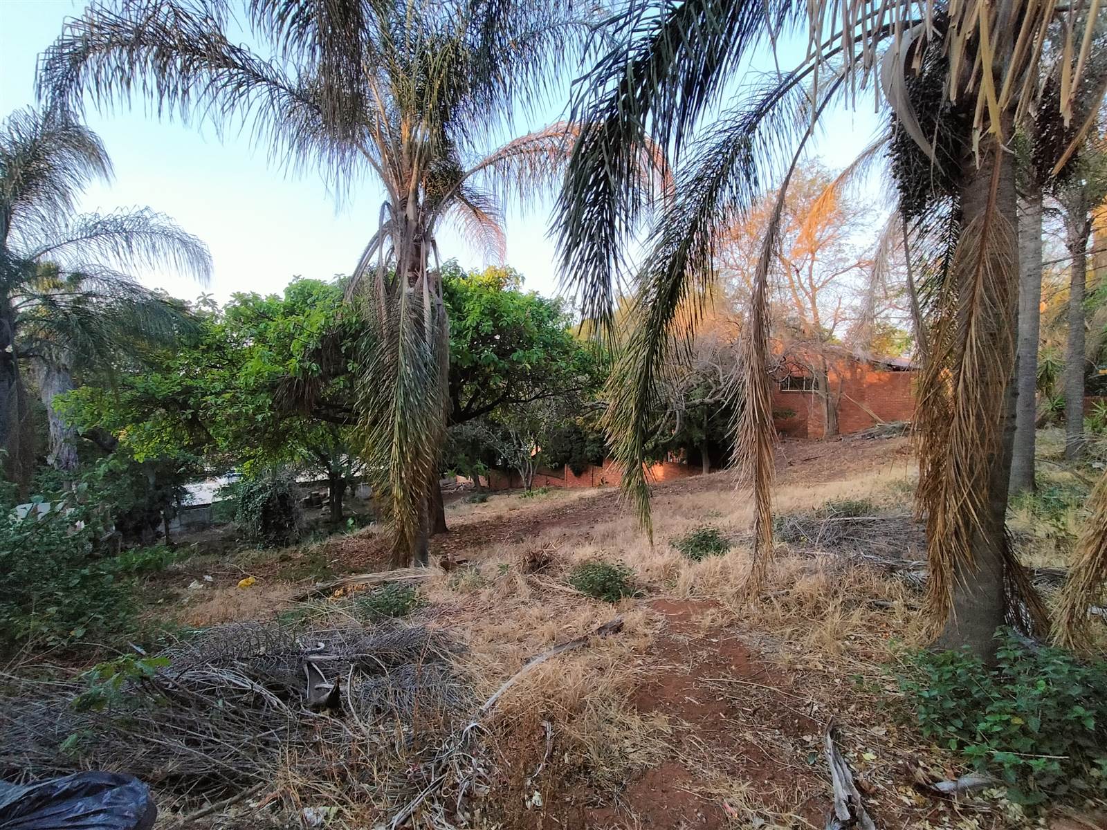 1817 m² Land available in Florauna photo number 9