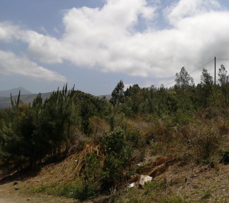 637 m² Land available in Great Brak River photo number 8
