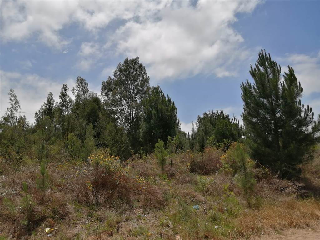 637 m² Land available in Great Brak River photo number 3
