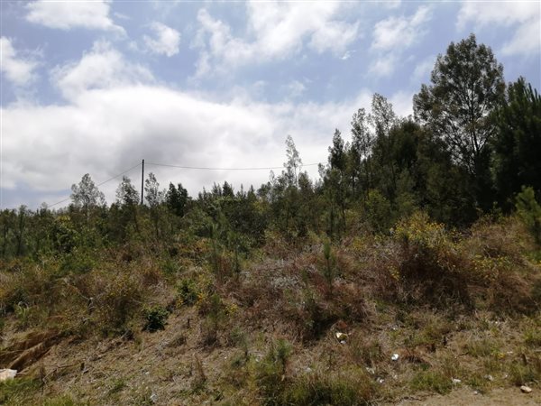 637 m² Land available in Great Brak River
