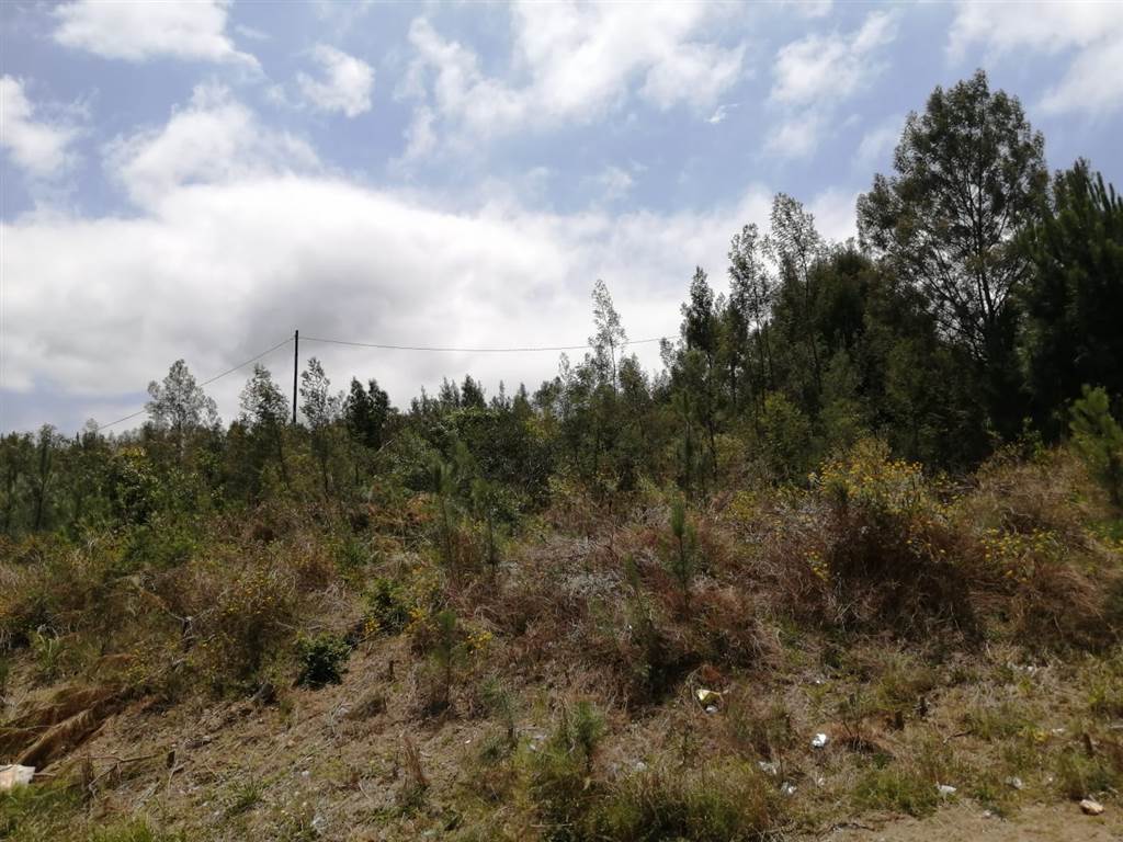 637 m² Land available in Great Brak River photo number 1