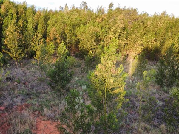 1 ha Land available in Mooikloof Equestrian Estate