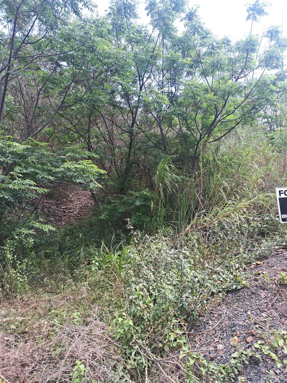 1000 m² Land available in Kenville photo number 3