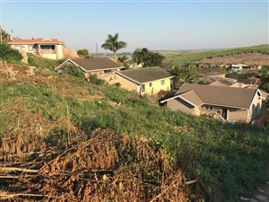 356 m² Land available in Belvedere