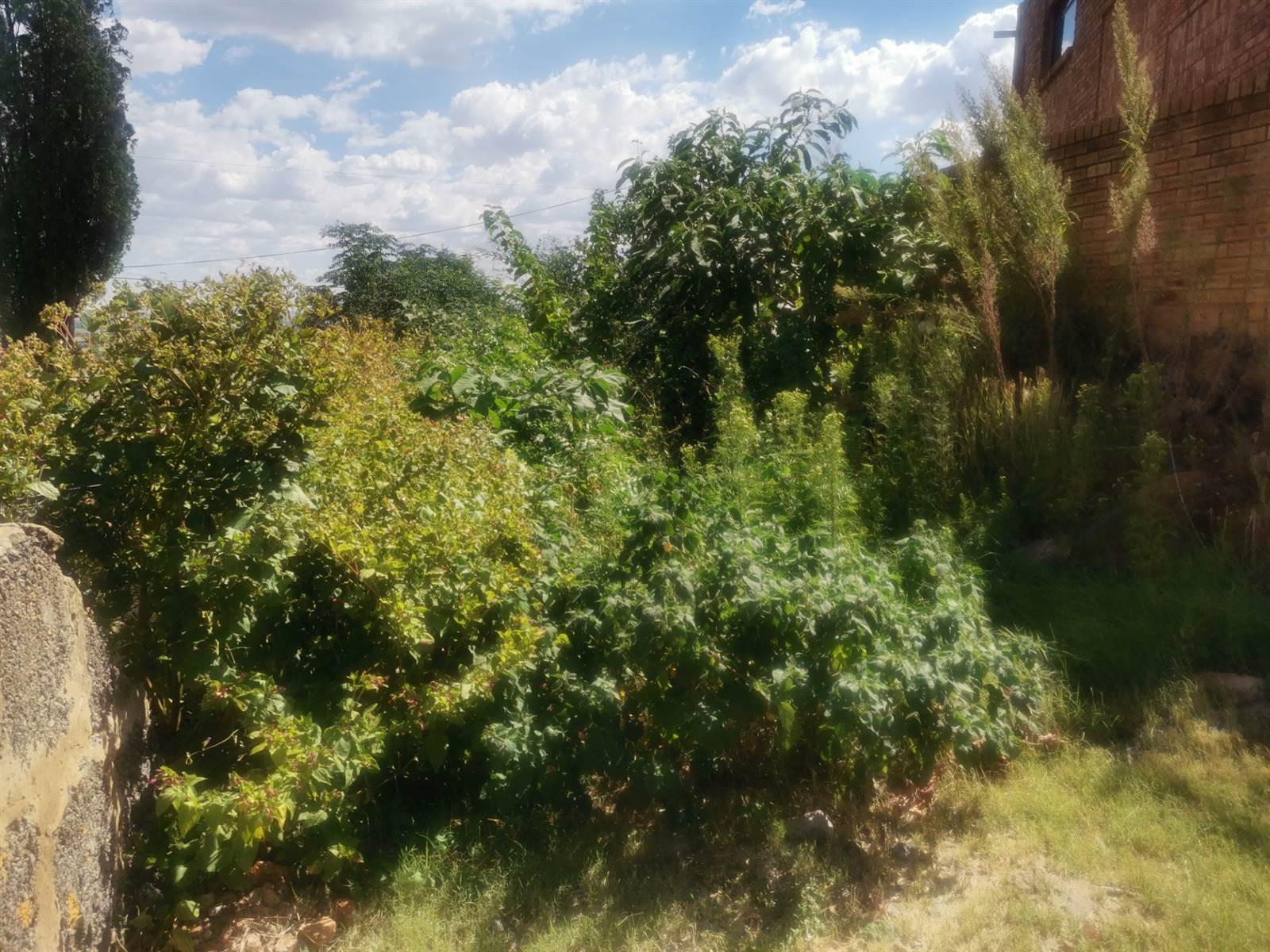 1043 m² Land available in Naturena photo number 5