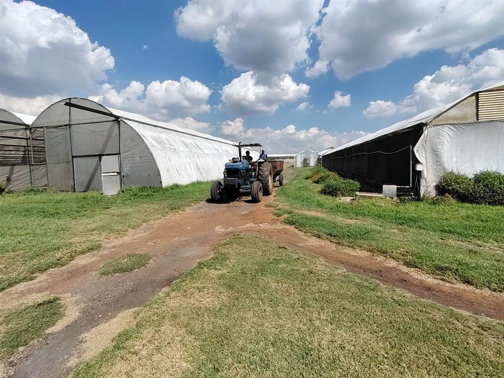 11.4 ha Smallholding in Kempton Park Central photo number 20
