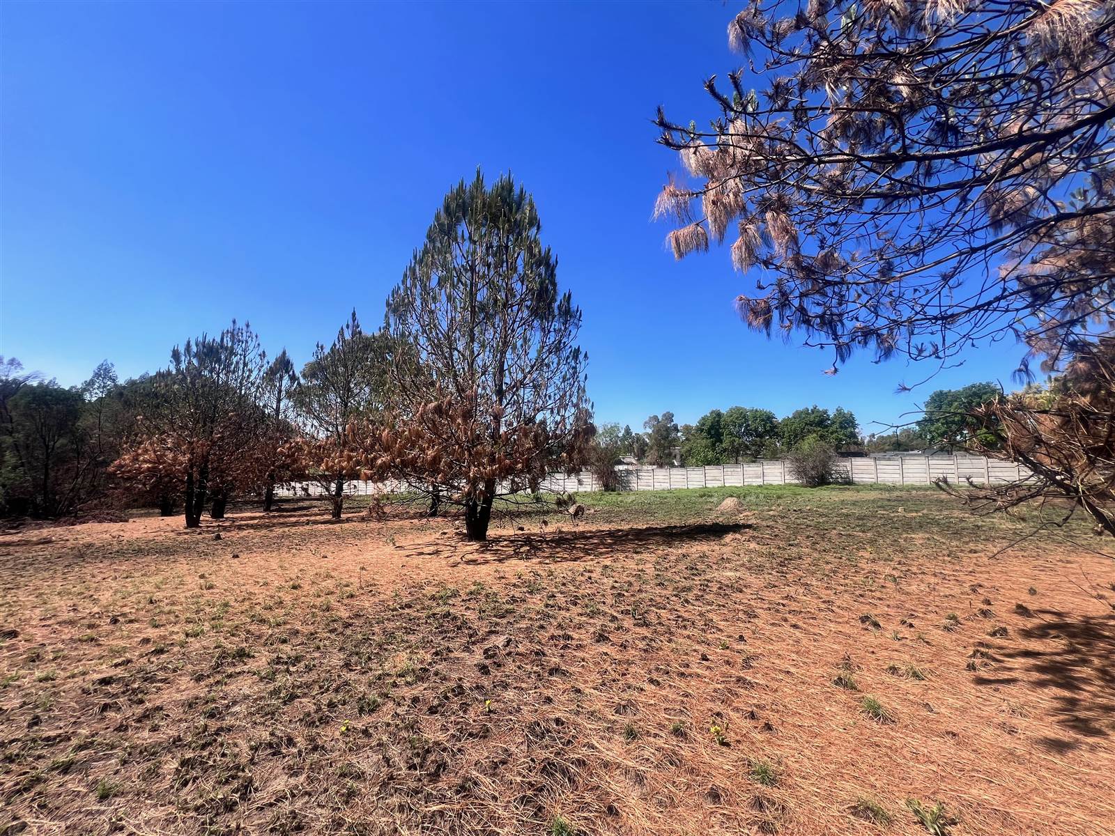 1.7 ha Land available in Glen Austin AH photo number 11