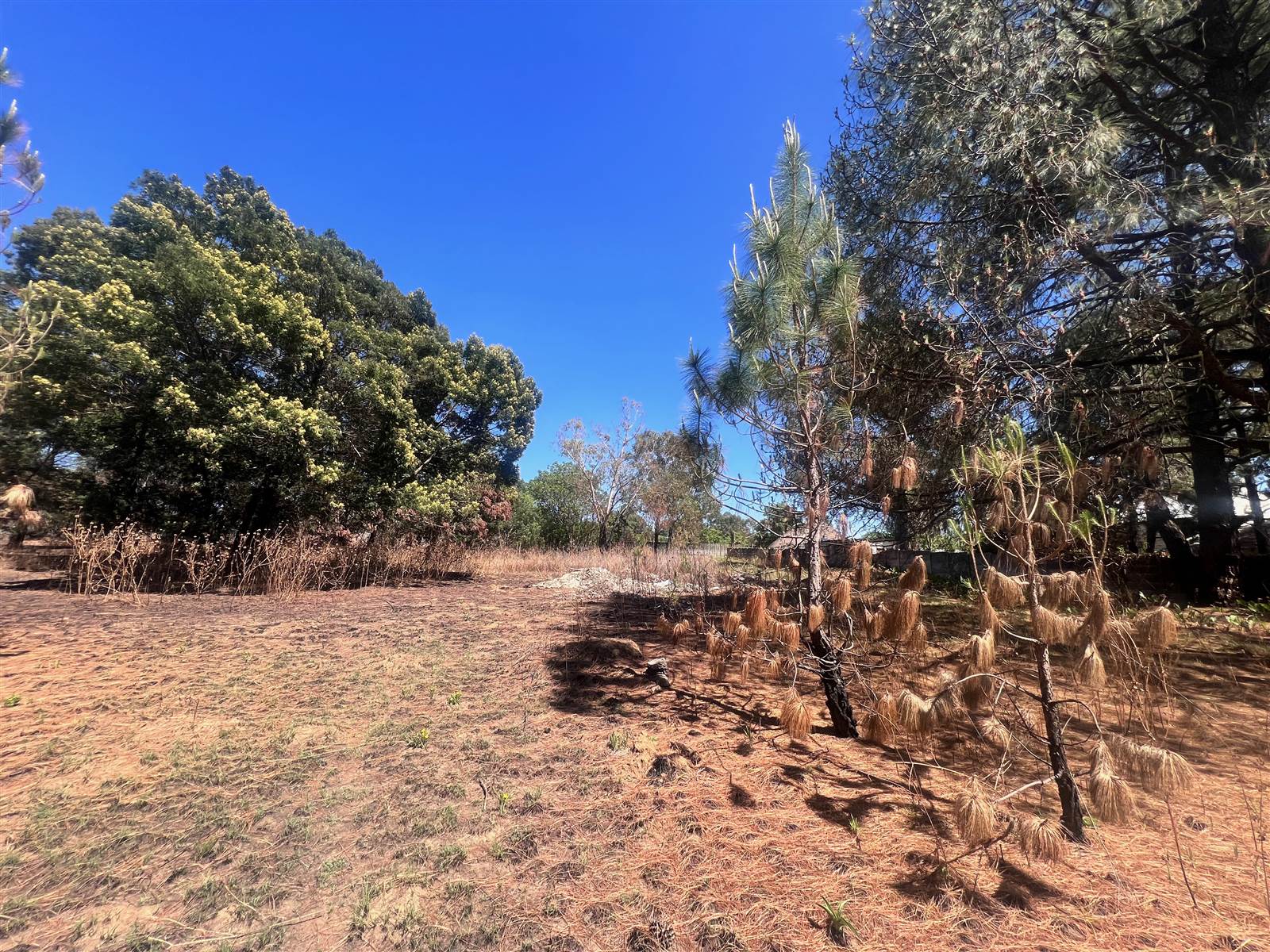 1.7 ha Land available in Glen Austin AH photo number 14