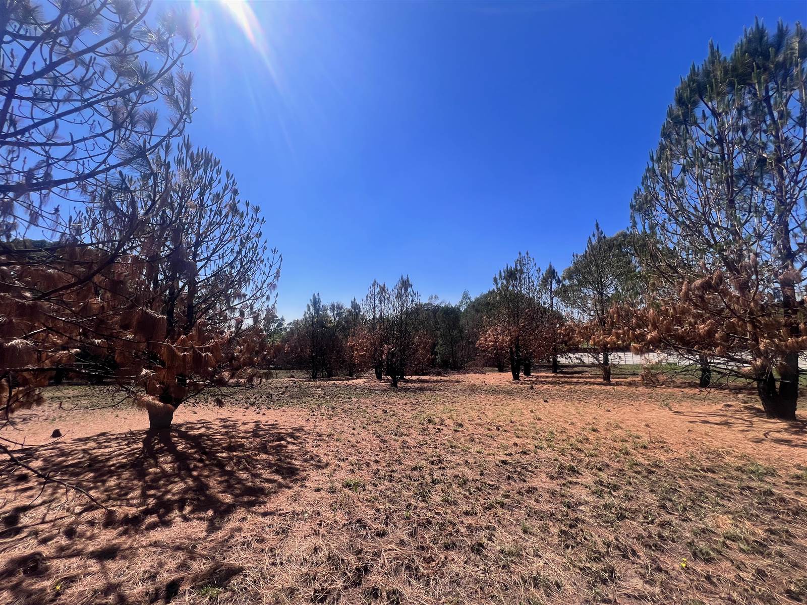 1.7 ha Land available in Glen Austin AH photo number 10