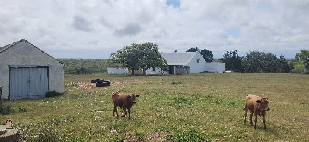 433 ha Farm in Stilbaai photo number 6