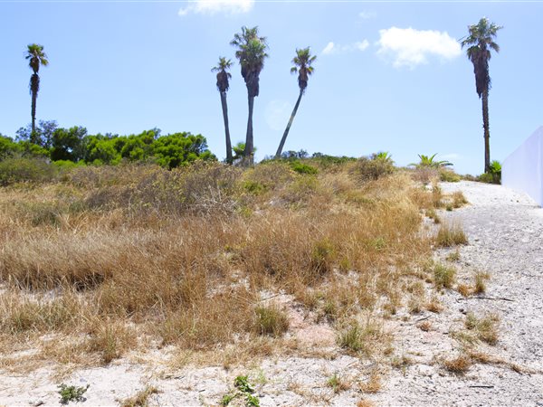 502 m² Land available in Shelley Point