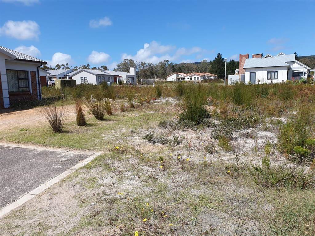 294 m² Land available in Albertinia photo number 2