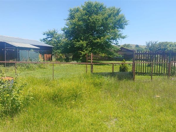 1 ha Smallholding