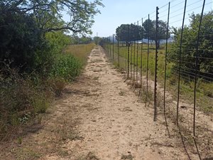 4.2 ha Land available in Cullinan and Surrounds