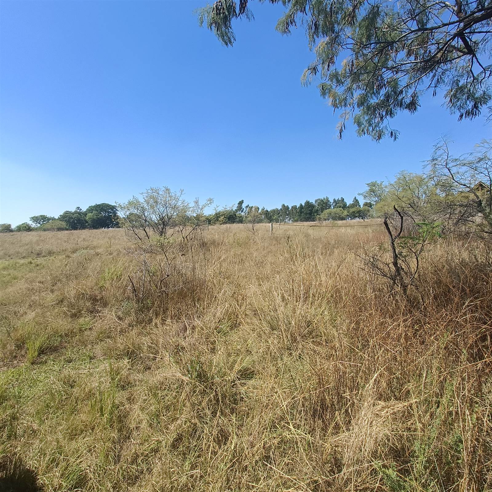 4.2 ha Land available in Cullinan and Surrounds photo number 4