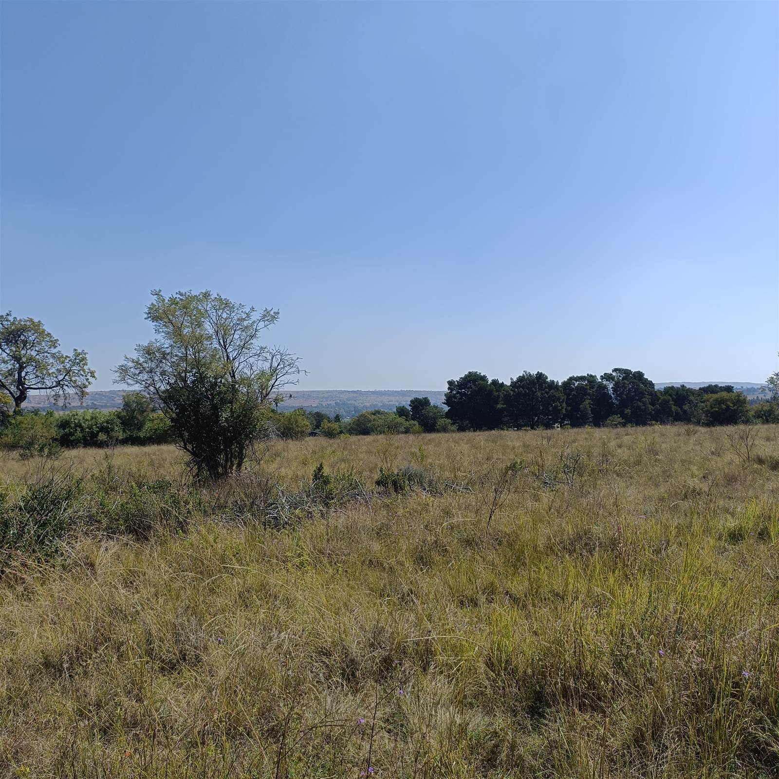 4.2 ha Land available in Cullinan and Surrounds photo number 10