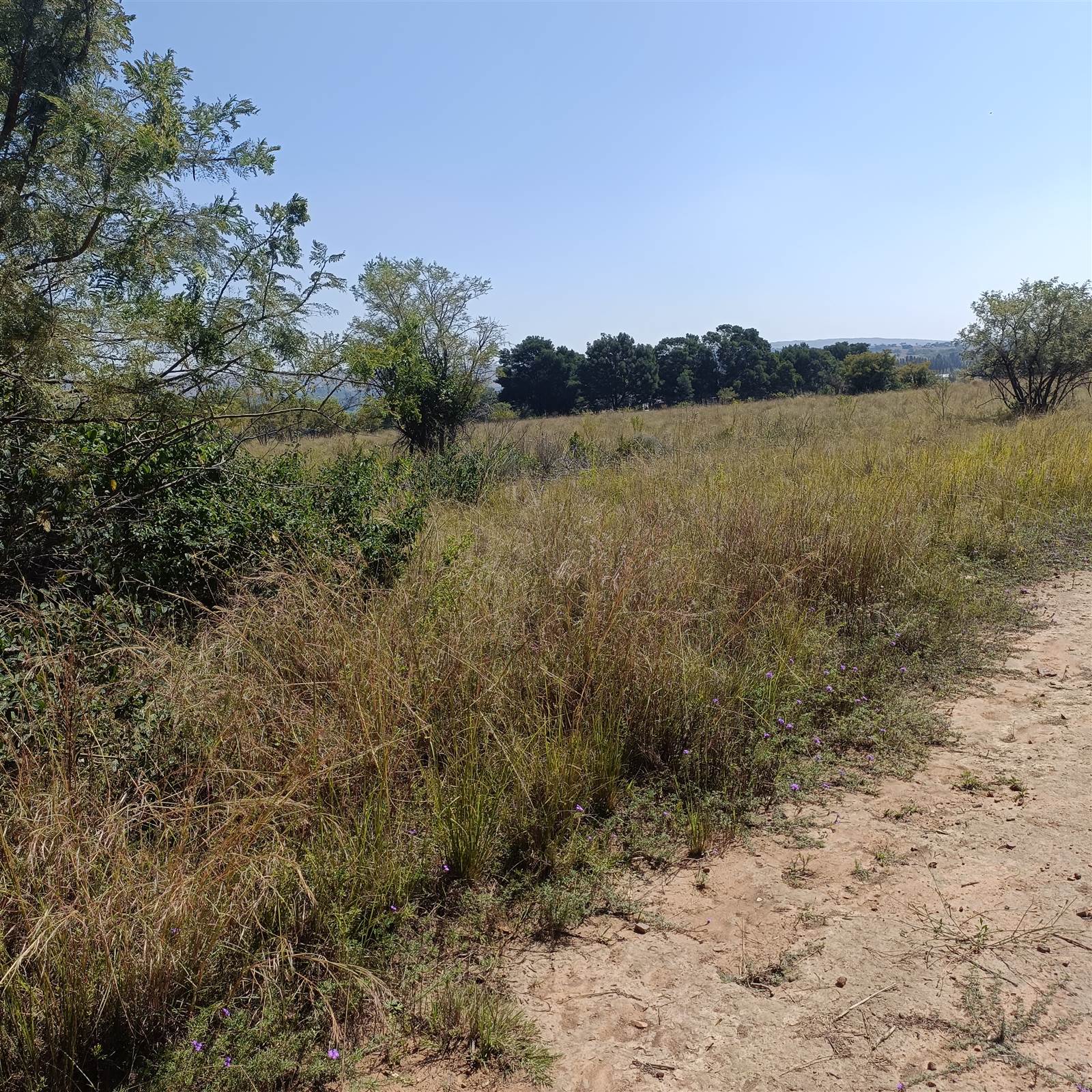 4.2 ha Land available in Cullinan and Surrounds photo number 8