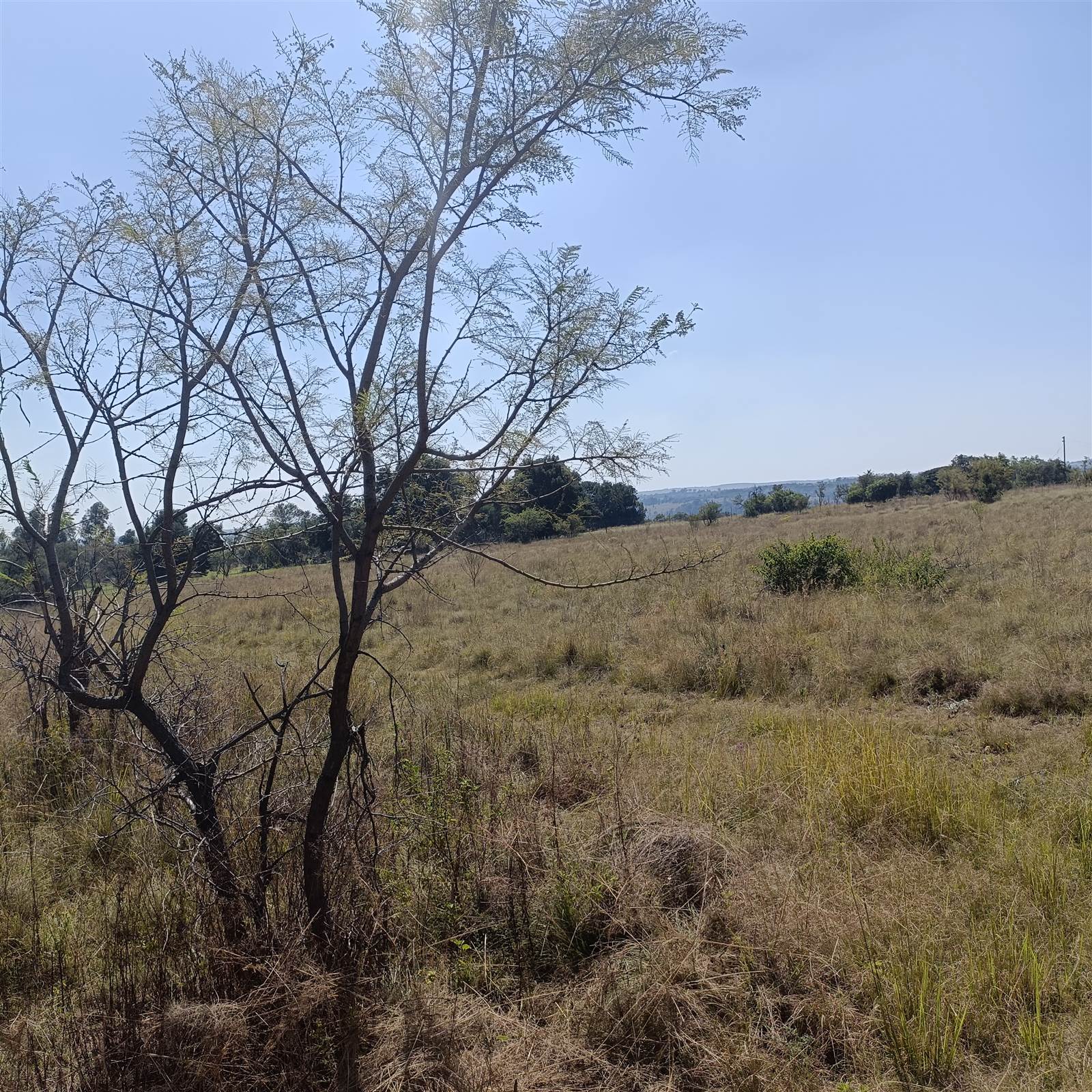 4.2 ha Land available in Cullinan and Surrounds photo number 13