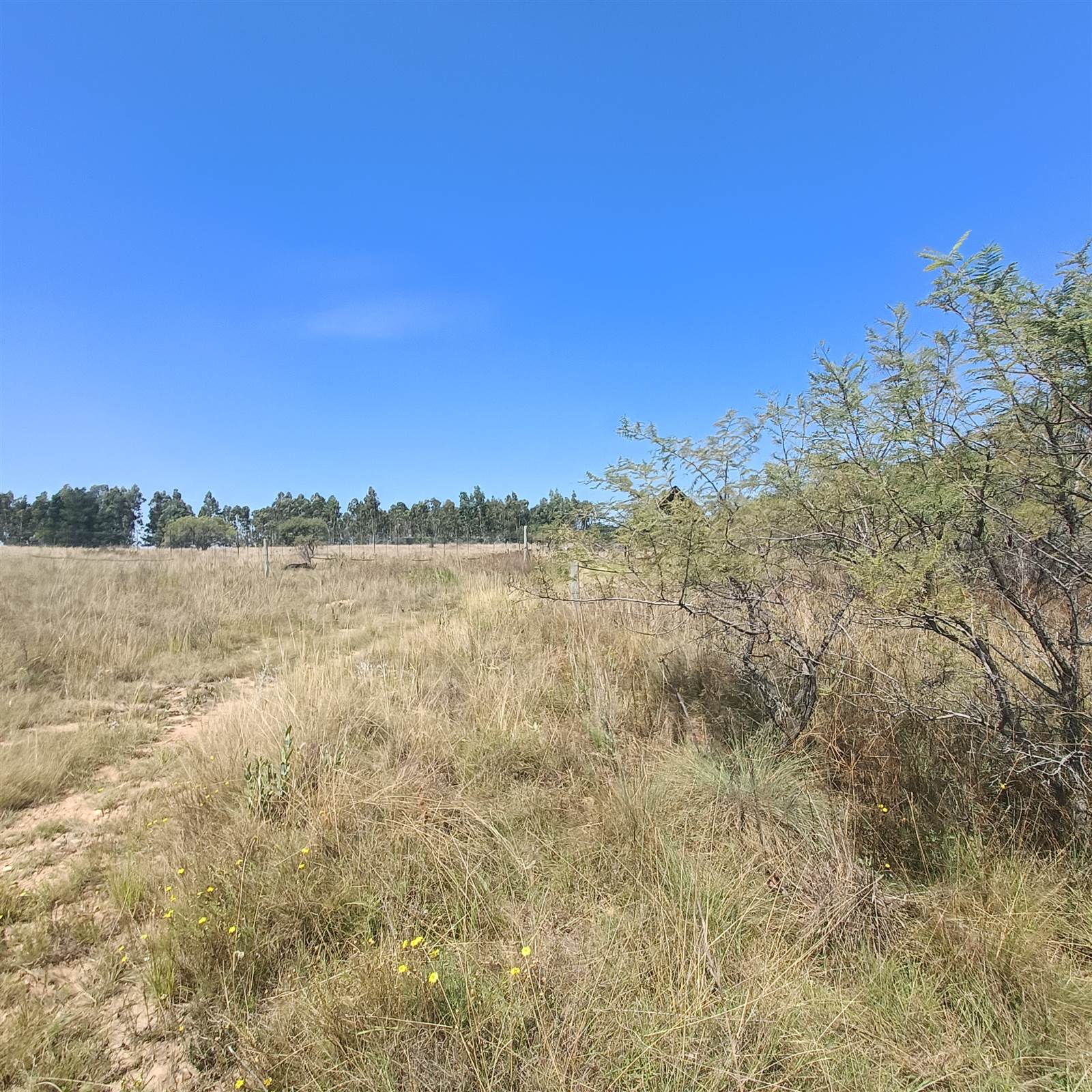 4.2 ha Land available in Cullinan and Surrounds photo number 5