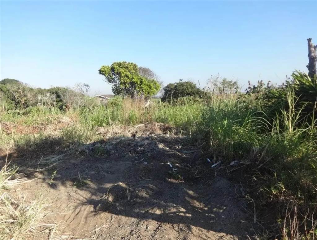 1199 m² Land available in Port Edward photo number 4