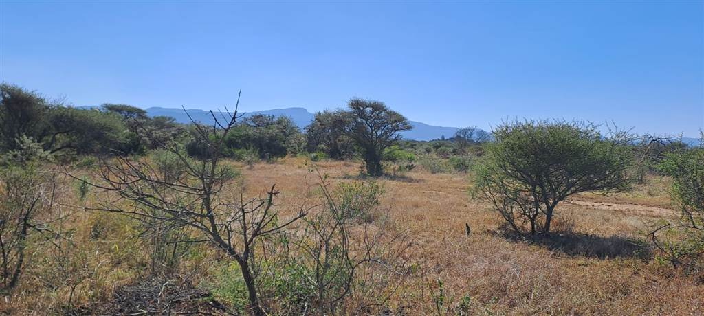 7.6 ha Land available in Louis Trichardt photo number 5