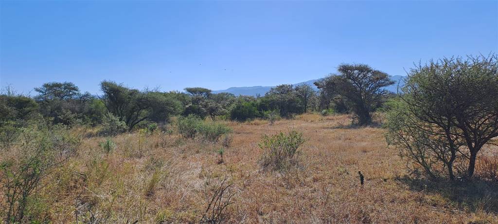 7.6 ha Land available in Louis Trichardt photo number 2