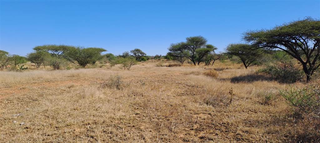7.6 ha Land available in Louis Trichardt photo number 4
