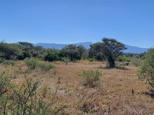 7.6 ha Land available in Louis Trichardt