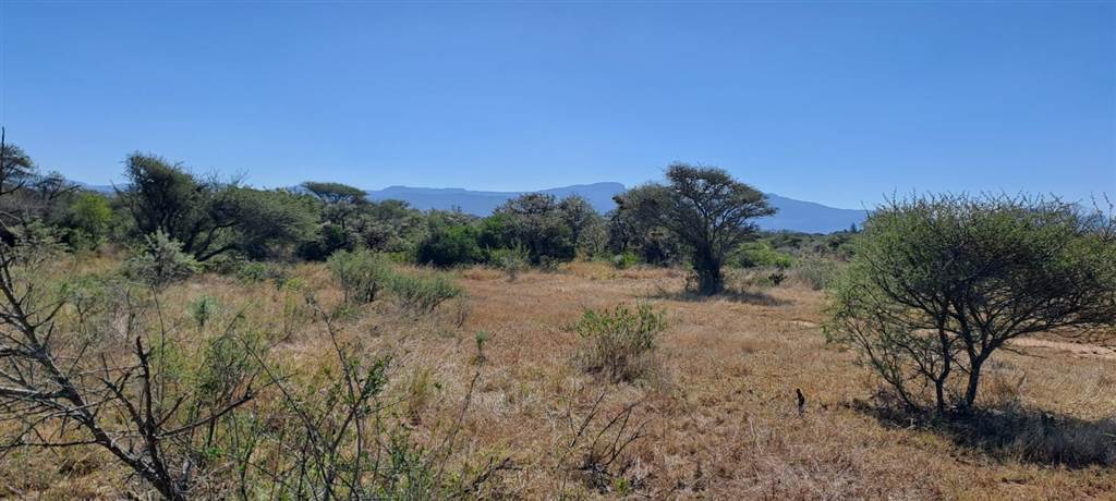 7.6 ha Land available in Louis Trichardt photo number 1