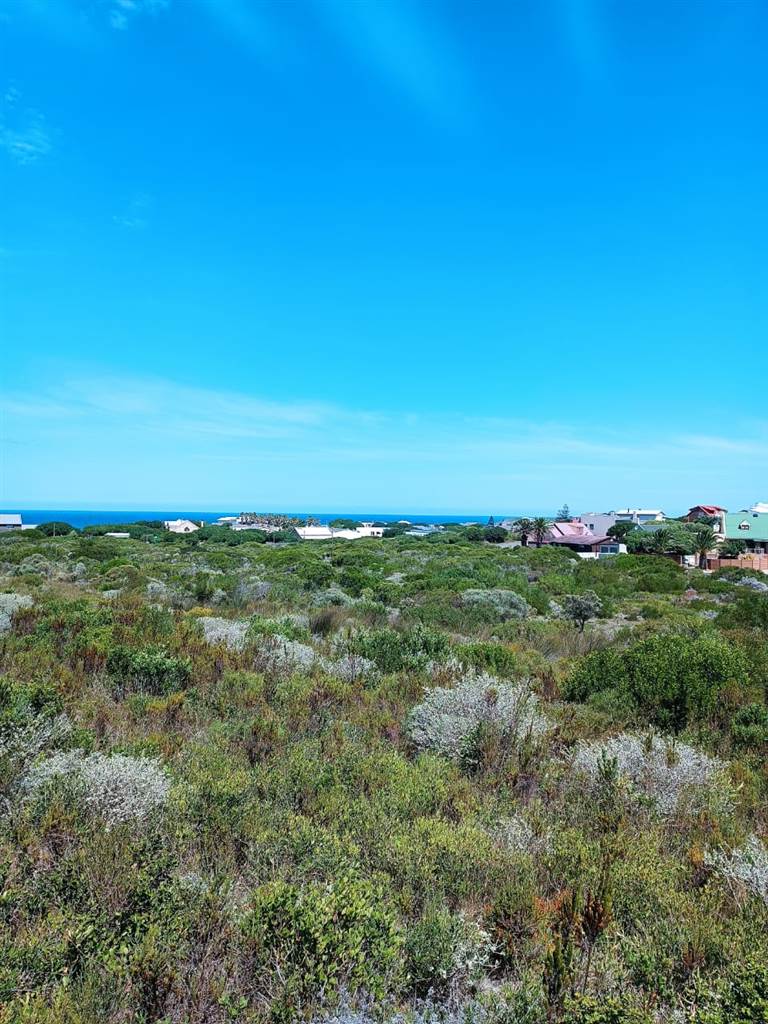 995 m² Land available in Kleinbaai photo number 2