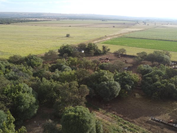 90 ha Farm 90 ha Farm